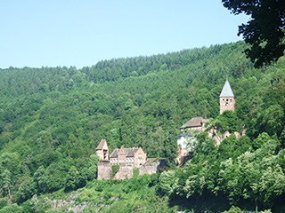 Auf dem Alternativweg zur 5. und 6. Etappe des Neckarsteigs kann der Wanderer einen Blick auf das imposante Schloss Zwingenberg werfen