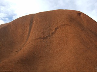 Auch am Uluru kannst Du verschiedene Tjukuritja bestaunen.