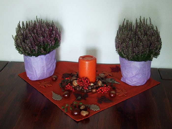 Auch an Mabon bietet es sich an, sich einen kleinen Altar mit der Natur ins Haus zu holen