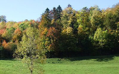 Dankbarkeit zeigen am Jahreskreisfest Mabon